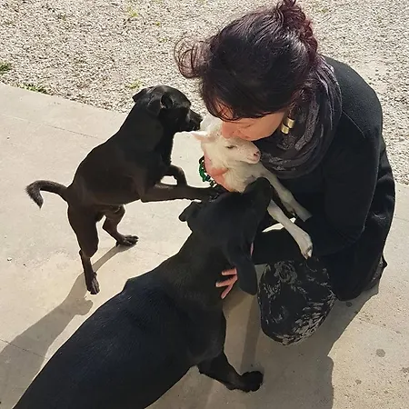 Arca Di Noe Gospodarstwo wiejskie *