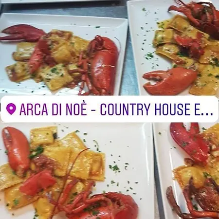Lantställe Arca Di Noe *