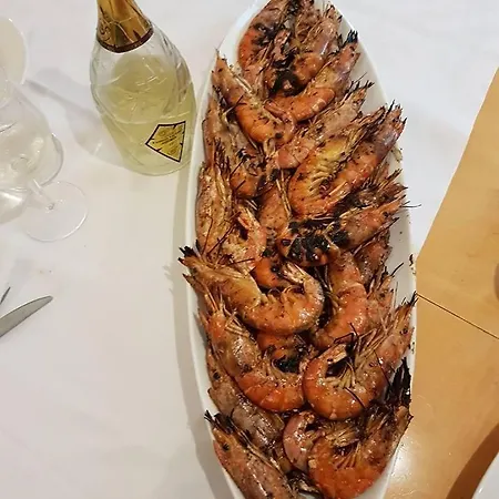 Arca Di Noe Lantställe Senigallia